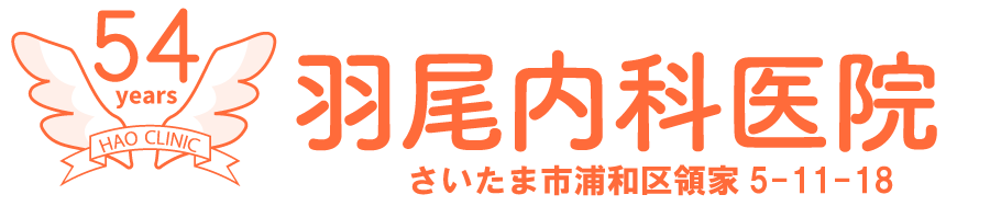 診療時間・地図・アクセス　羽尾内科/さいたま市/浦和市/